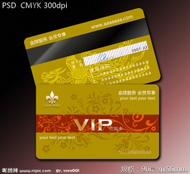 VIP会员卡设计模板 贵宾卡模板