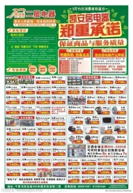 315 电器促销单