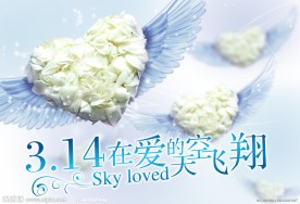 白色情人节活动展板