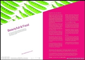 食品画册版式
