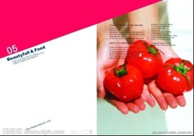 食品画册版式