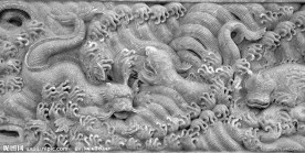 石雕浮雕龙素材