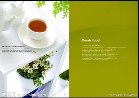 食品画册版式