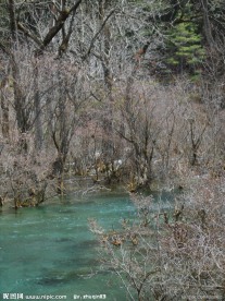 九寨沟风景水3