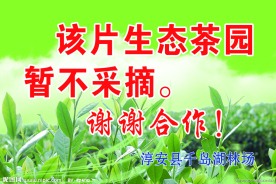 茶园广告