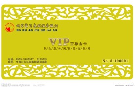VIP贵宾卡设计模板
