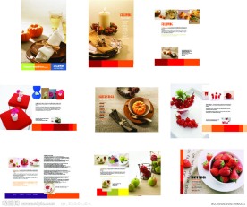 餐饮画册设计