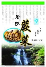 蕨菜 竹笋包装图片