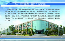 宗申电动车展板