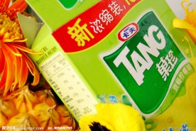 摄影图片 菊花 绿色包装