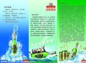 青岛啤酒三折页 啤酒瓶 冰块 青岛啤酒标志