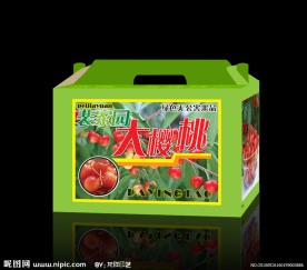 樱桃包装设计（展开图）