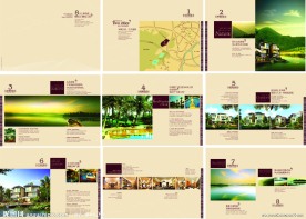 房地产楼书画册