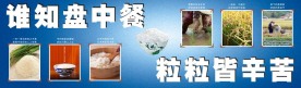 校园食堂节约粮食宣传画