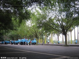 林荫路上的学生们
