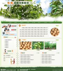 绿色网站模板