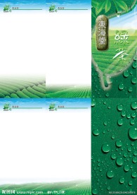 绿茶三折页模板