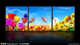 客厅花朵无框画设计