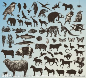 动物图标矢量素材