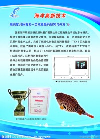 福建海洋渔业厅618展会展板