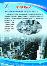 福建海洋渔业厅618展会展板