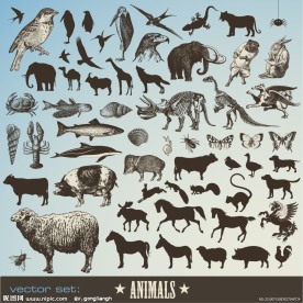 动物图标矢量