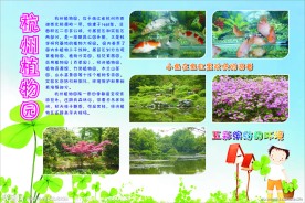 手抄报