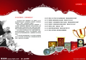 企业画册 公司荣誉