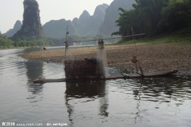 江中鱼排