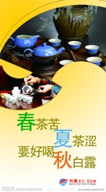 茶楼 广告