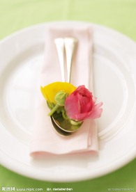 水果 静物 无框画素材 图库