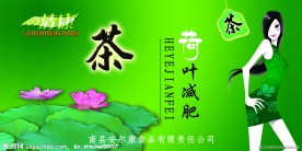 茶 减肥茶 人参花茶 美女 宣传 海报 荷叶茶