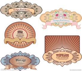 古典花纹 边框 底纹 丝带