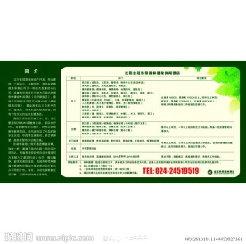 招聘内容