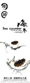 海参户外展板