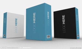 精美VI套装系列 软件包装盒psd分层素材 （效果图）