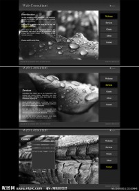 漂亮换图简洁FLASH网站模板
