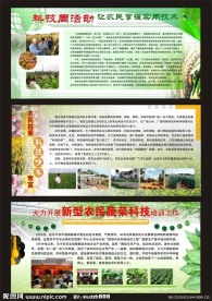 新农村展板模板