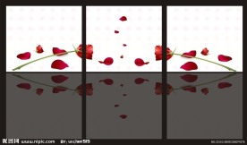 缤纷玫瑰无框画