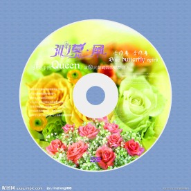 婚礼光盘封面