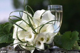 婚纱婚礼背景 香槟鲜花