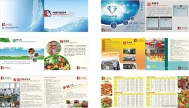 餐饮画册 （背景图片合层）