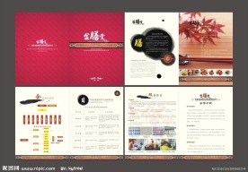 食品行业画册设计