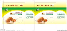 散养鸡鸡蛋包装盒