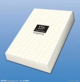 丝巾包装 丝巾 包装 广告设计 包装设计