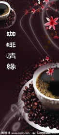 咖啡情缘