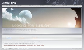 简洁欧美风格Flash网站模板