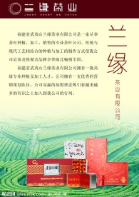 茶叶 宣传单