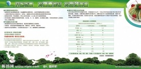 低碳环保宣传展板