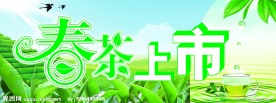 春茶上市